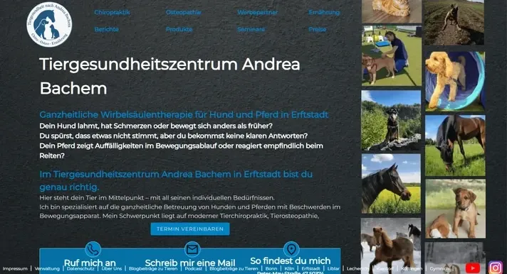 Desktop Ansicht der Tiergesundheitszentrum Andrea Bachem Website